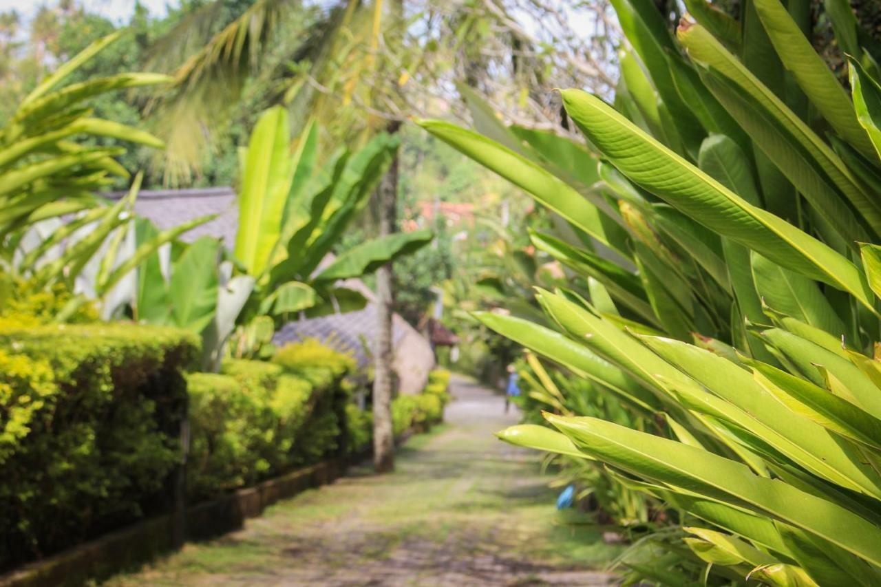 Balian Surf Villas Selemadeg  Extérieur photo